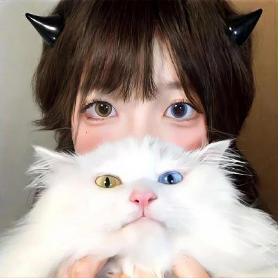不可思议猫森林